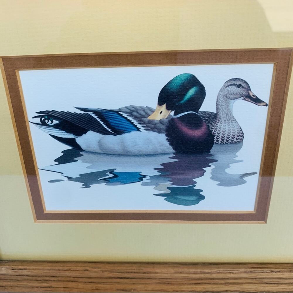 1980’s Richard Sloan Duck Wall Art